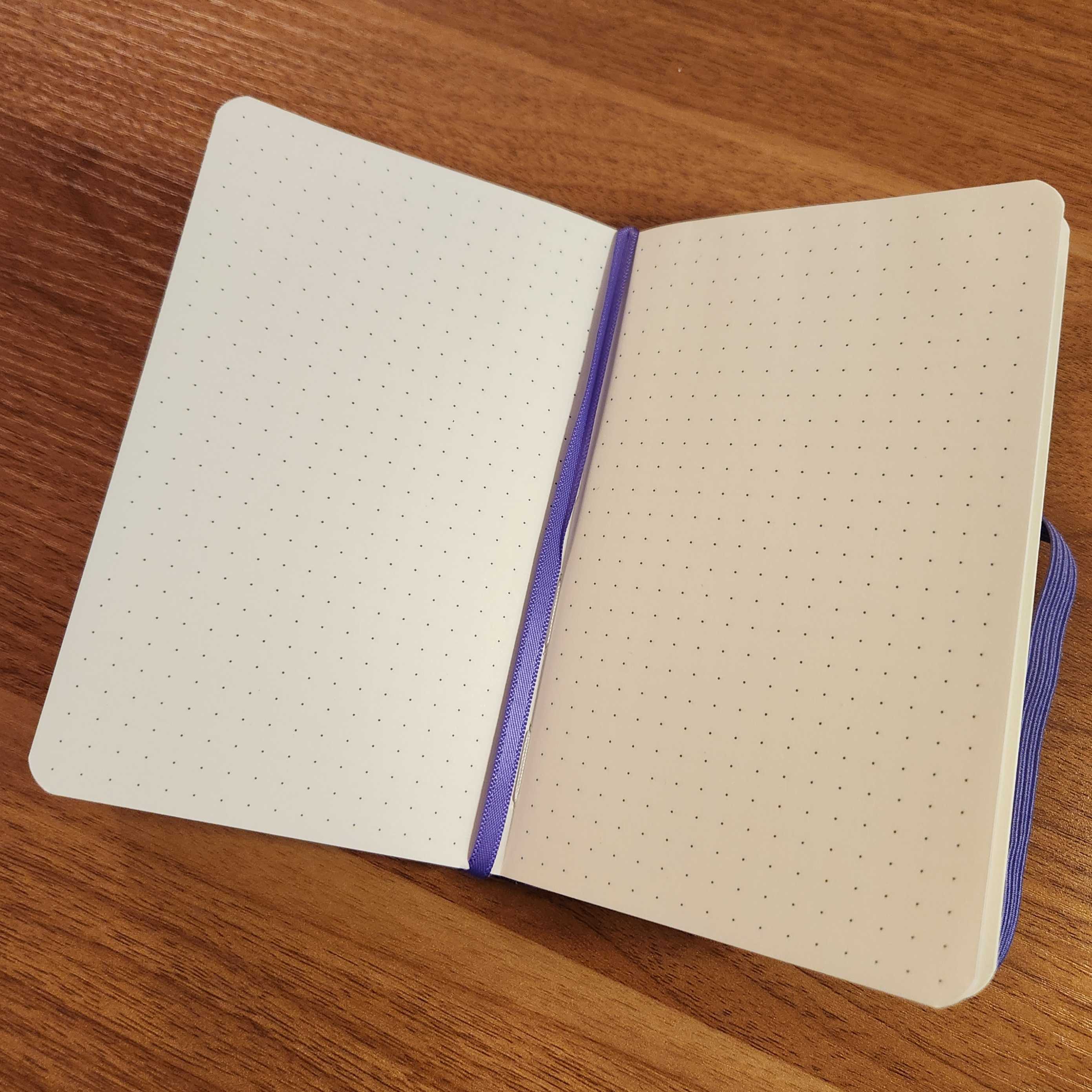 Ditto Notebook