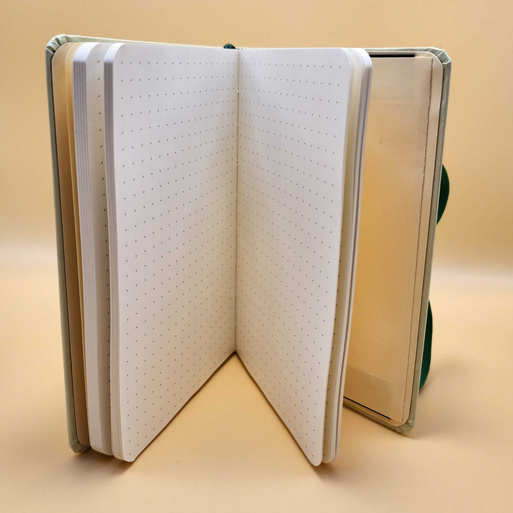 Shrimps is Bugs Notebook