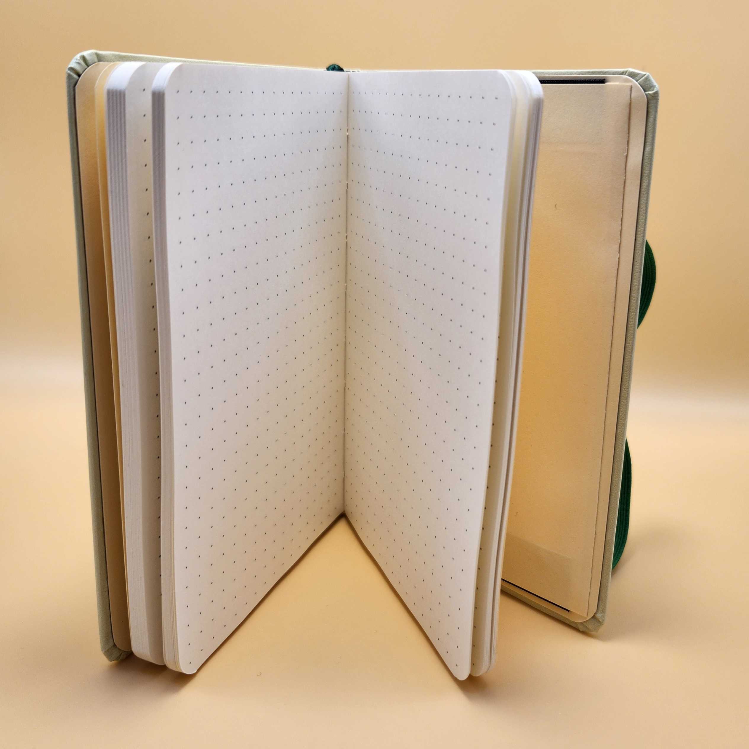 Shrimps is Bugs Notebook