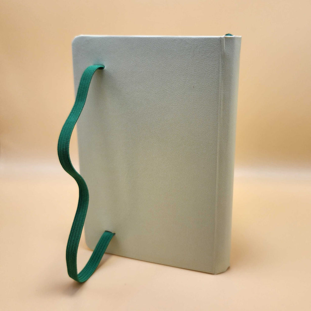 Shrimps is Bugs Notebook